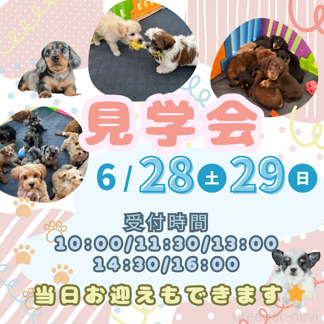 鈴木理菜ブリーダーの詳細の1枚目